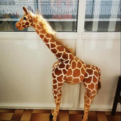 Peluche géante girafe Hengqiyuan 50 cm 