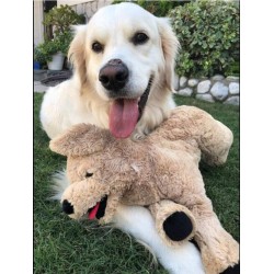 Peluche chien Golden Retriever 52 cm 